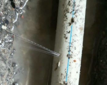 沧州卫生间测漏水多少钱