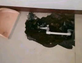 沧州卫生间测漏水多少钱