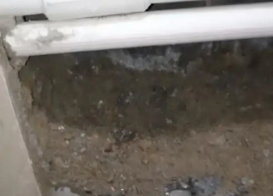 沧州卫生间测漏水多少钱